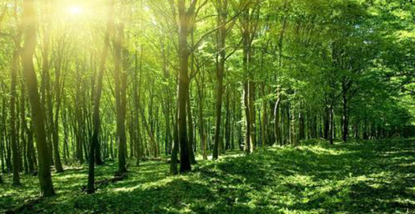 资产评估管理办法