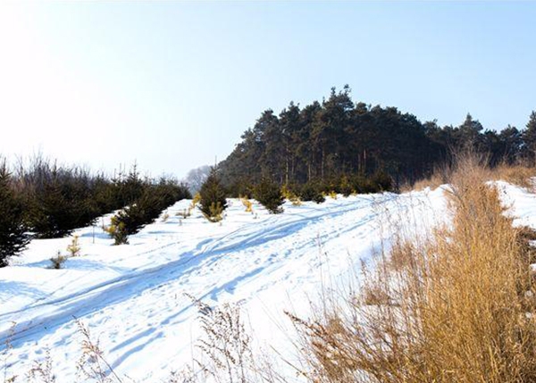 白山林地面积测量鉴定