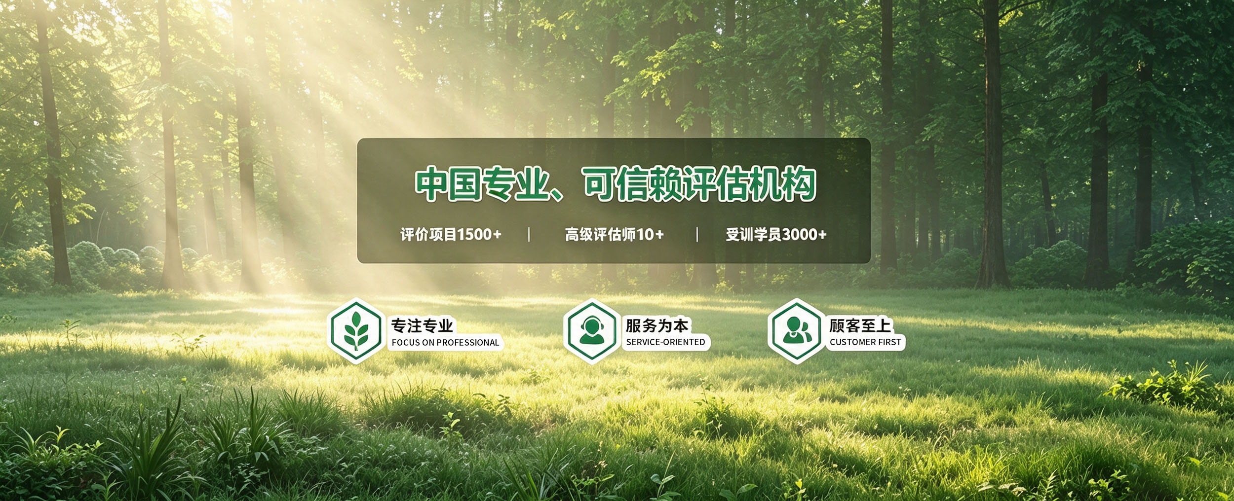 林权评估,苗木评估