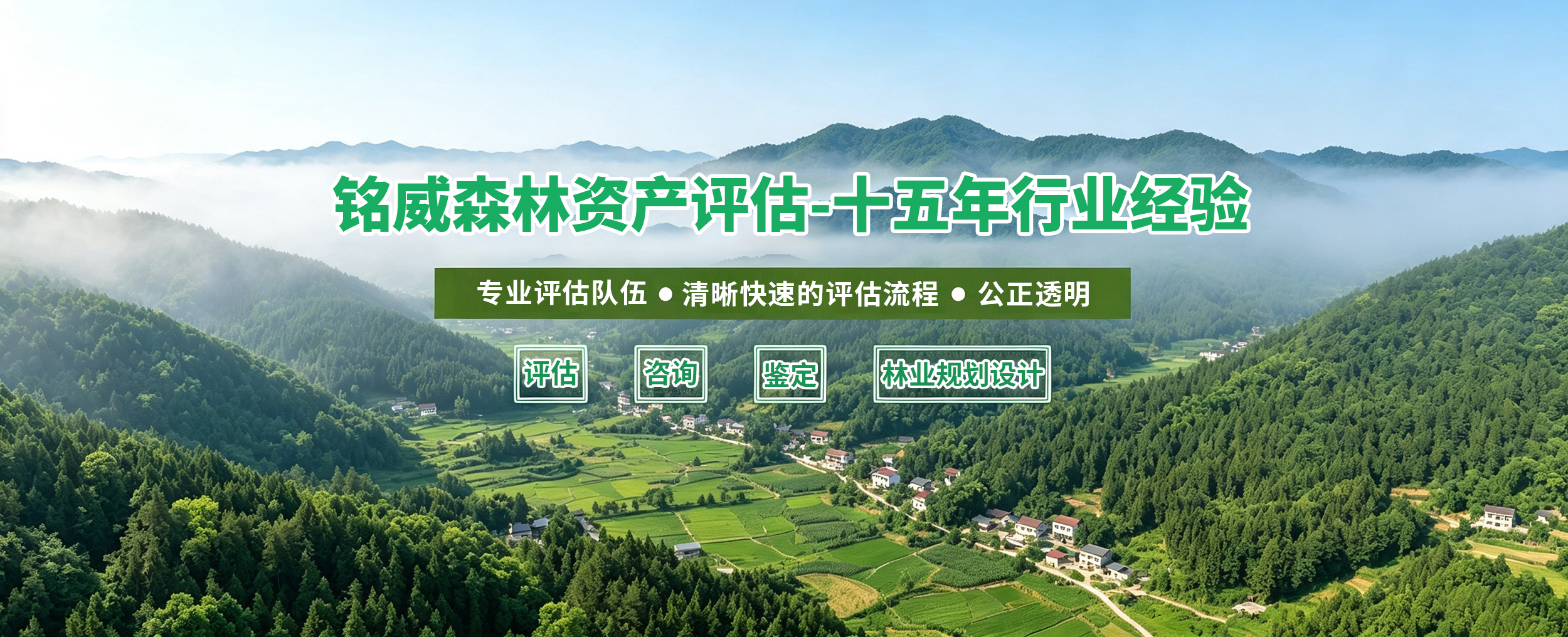 林权评估,苗木评估,森林资源评估