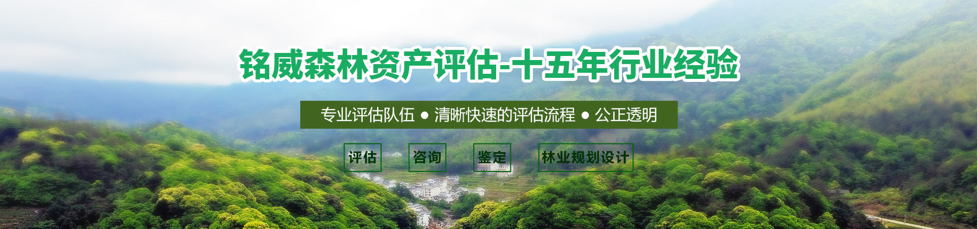 林权评估
